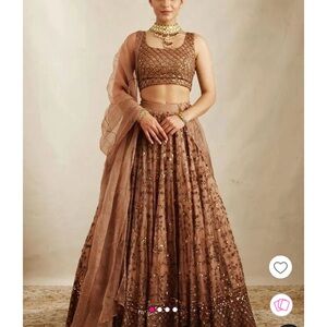 Indian Women Umbrella Lehenga In Brown Net Embroidered Sequins